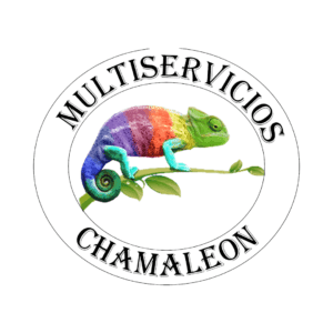 Multiservicios Chamaleon