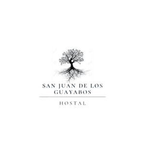 Logo_San_Juan_de_los_Guayabos