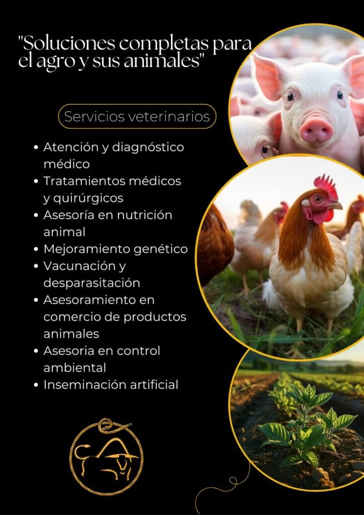 Servicios Encaste 1